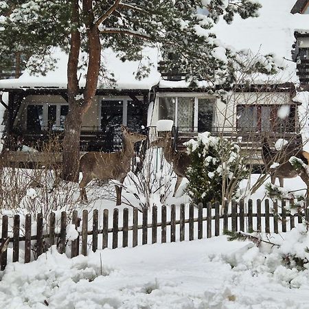 Apartament Wokół Stołu Zakopane Zewnętrze zdjęcie
